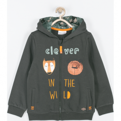 Bluza. Szare bluzy chłopięce marki Wild, z nadrukiem, z bawełny, z kapturem. Za 64,90 zł.