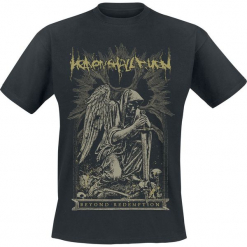 Heaven Shall Burn Beyond Redemption T-Shirt czarny. Czarne t-shirty męskie marki Caliban, s. Za 74,90 zł.