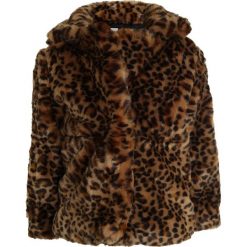 GAP LEOPARD COAT Kurtka przejściowa leopard print. Żółte kurtki dziewczęce marki GAP, z poliesteru. W wyprzedaży za 174,30 zł.