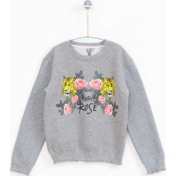 Lemon Explore - Bluza dziecięca 122-164 cm. Szare bluzy dziewczęce marki LEMON explore, z nadrukiem, z bawełny, bez rękawów, bez kaptura. W wyprzedaży za 34,90 zł.