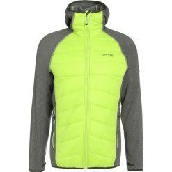 Kurtki trekkingowe męskie: Regatta ANDRESON III Kurtka Outdoor race green/lime