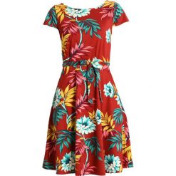 Sukienki: King Louie SALLY DRESS MARISOL Sukienka z dżerseju rio red