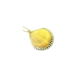 Colare Muszla Żółta Złoto. Żółte naszyjniki damskie Brazi druse jewelry, srebrne. Za 110,00 zł.