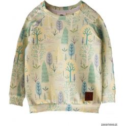 Bluzy dziewczęce: Bluza TREE green