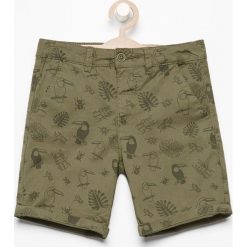 Odzież dziecięca: Szorty z egzotycznym nadrukiem – Khaki