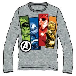 Disney By Arnetta Koszulka Chłopięca Avengers 104 Szary. Szare t-shirty chłopięce Disney By Arnetta, z motywem z bajki, bez rękawów. Za 39,00 zł.
