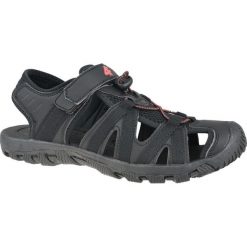 4F Men's Sandals H4L20-SAM003-20S 43 Czarne. Czarne sandały męskie 4f, z syntetyku, bez zapięcia. W wyprzedaży za 119,99 zł.