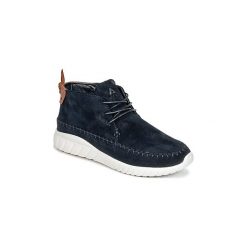 Tenisówki męskie: Buty Asfvlt YUMA