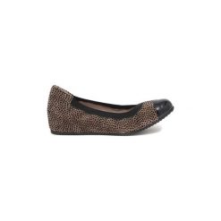 Baleriny damskie lakierowane: Baleriny Le Babe BALLERINA PUNTINI SAFARI