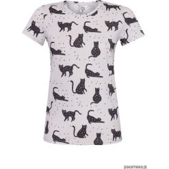 T-shirt Black cats. Czarne t-shirty damskie marki Pakamera, z łamanym kołnierzem. Za 80,00 zł.