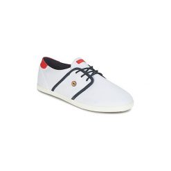 Tenisówki męskie: Buty Faguo CYPRESS COTTON