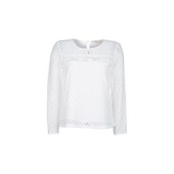Bluzki Betty London KAROKI. Brązowe bluzki damskie marki Betty London, l. Za 149,00 zł.