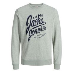 Jack&Jones Męska Bluza Jorbreeze Sweat Crew Neck Iceberg Green (Rozmiar S). Zielone bluzy męskie marki Jack&Jones, s. W wyprzedaży za 83,00 zł.