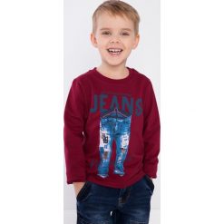 Bordowa bluza chłopięca NDZ9049. Czerwone bluzy chłopięce marki Fasardi. Za 39,00 zł.