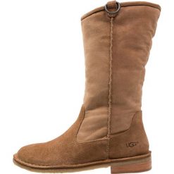 Buty zimowe damskie: UGG DAPHNE Śniegowce chestnut