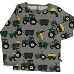 T-shirty chłopięce z długim rękawem: Koszulka w kolorze szarym