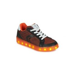 Buty Dziecko Geox J KOMMODOR B.A. Czarne trampki chłopięce Geox. Za 239,20 zł.