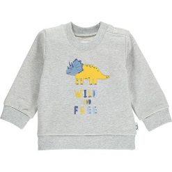Bluza w kolorze szarym. Szare bluzy niemowlęce lamino, z nadrukiem, z dresówki, bez rękawów, bez kaptura. W wyprzedaży za 43,95 zł.