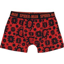 Bokserki męskie: Spider-Man Logo Bokserki allover