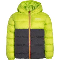 Regatta LOFTHOUSE Kurtka zimowa lime zest/iron. Zielone kurtki sportowe damskie marki Regatta, na zimę, z materiału. W wyprzedaży za 223,30 zł.