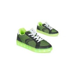 Buty Dziecko Geox J KOMMODOR B.A. Zielone trampki chłopięce Geox. Za 263,20 zł.